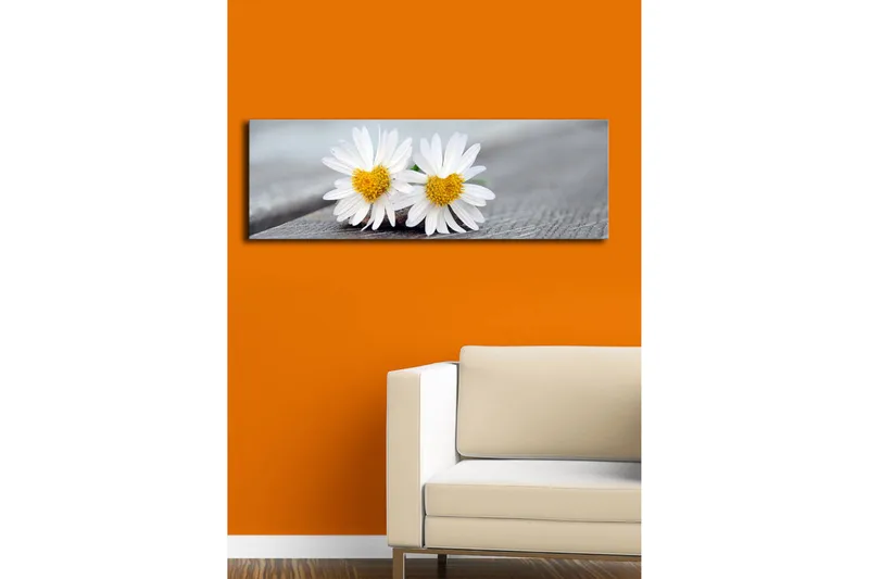 Canvas-taulu LED-valaistuksella 30x90 cm - Kaksi valkoista päivänkakkaraa keltaisilla keskiosilla - Valkoinen / Keltainen - Sisustustuotteet - Taulu & taide - Canvas-taulu