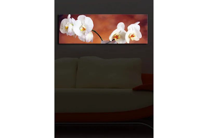 Canvas-taulu LED-valaistuksella 30x90 cm - Kauniit valkoiset orkideat harmonisessa sommitelmassa - Valkoinen / Beige / Keltainen - Sisustustuotteet - Taulu & taide - Canvas-taulu