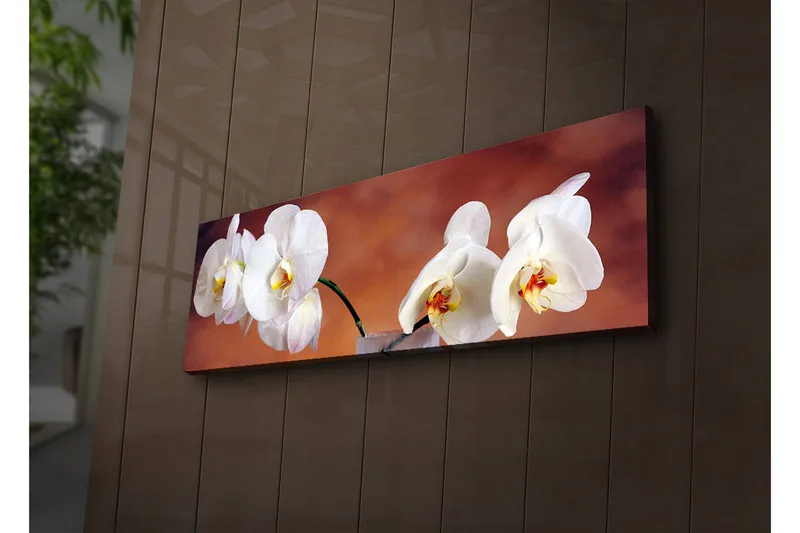 Canvas-taulu LED-valaistuksella 30x90 cm - Kauniit valkoiset orkideat harmonisessa sommitelmassa, Valkoinen / Beige / Keltainen