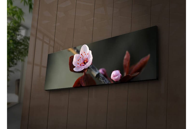 Canvas-taulu LED-valaistuksella 30x90 cm - Kaunis kukka vaaleanpunaisilla terälehdillä ja tummanvihreillä lehdillä - Vaaleanpunainen / Tummanvihreä - Sisustustuotteet - Taulu & taide - Canvas-taulu