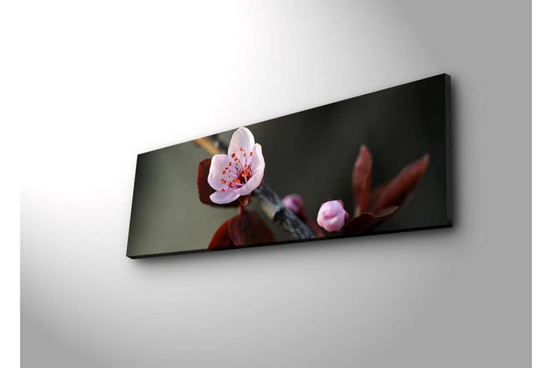 Canvas-taulu LED-valaistuksella 30x90 cm - Kaunis kukka vaaleanpunaisilla terälehdillä ja tummanvihreillä lehdillä - Vaaleanpunainen / Tummanvihreä - Sisustustuotteet - Taulu & taide - Canvas-taulu