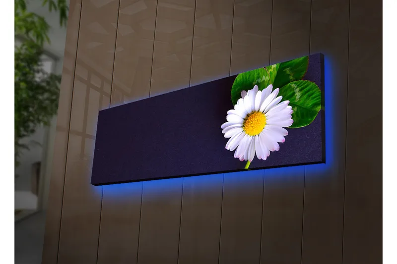 Canvas-taulu LED-valaistuksella 30x90 cm - Kaunis päivänkakkara vihreillä lehdillä tummalla taustalla, Valkoinen / Vihreä / Tummansininen