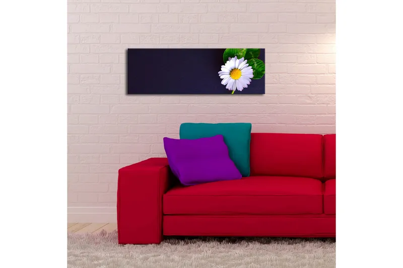 Canvas-taulu LED-valaistuksella 30x90 cm - Kaunis päivänkakkara vihreillä lehdillä tummalla taustalla - Valkoinen / Vihreä / Tummansininen - Sisustustuotteet - Taulu & taide - Canvas-taulu