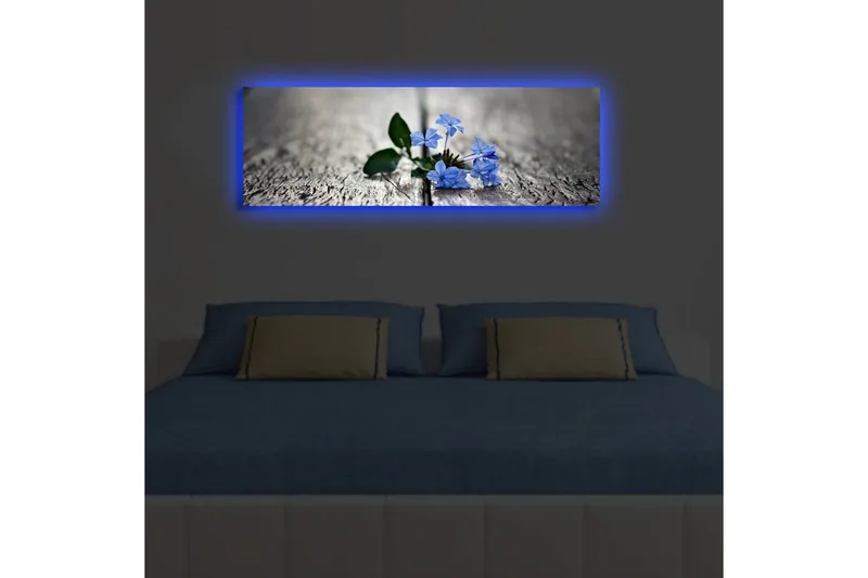 Canvas-taulu LED-valaistuksella 30x90 cm - Kukkia kasvaa puupinnan rakojen välistä - Sininen / Vihreä / Harmaa - Sisustustuotteet - Taulu & taide - Canvas-taulu