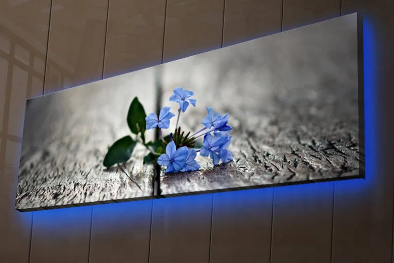 Canvas-taulu LED-valaistuksella 30x90 cm - Kukkia kasvaa puupinnan rakojen välistä - Sininen / Vihreä / Harmaa - Sisustustuotteet - Taulu & taide - Canvas-taulu