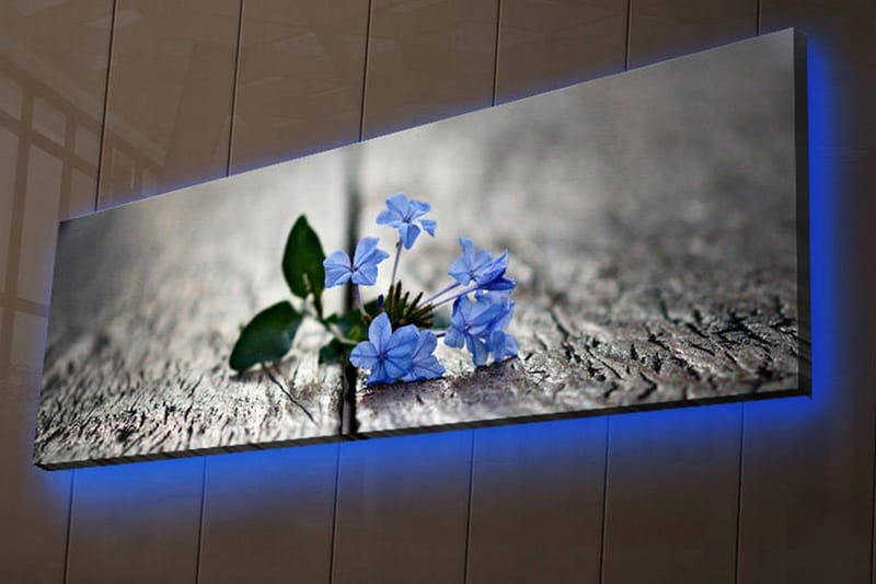 Canvas-taulu LED-valaistuksella 30x90 cm - Kukkia kasvaa puupinnan rakojen välistä - Sininen / Vihreä / Harmaa - Sisustustuotteet - Taulu & taide - Canvas-taulu