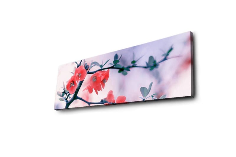 Canvas-taulu LED-valaistuksella 30x90 cm - Kukkiva oksa vaaleanpunaisilla kukilla - Vaaleanpunainen / Vihreä / Valkoinen - Sisustustuotteet - Taulu & taide - Canvas-taulu