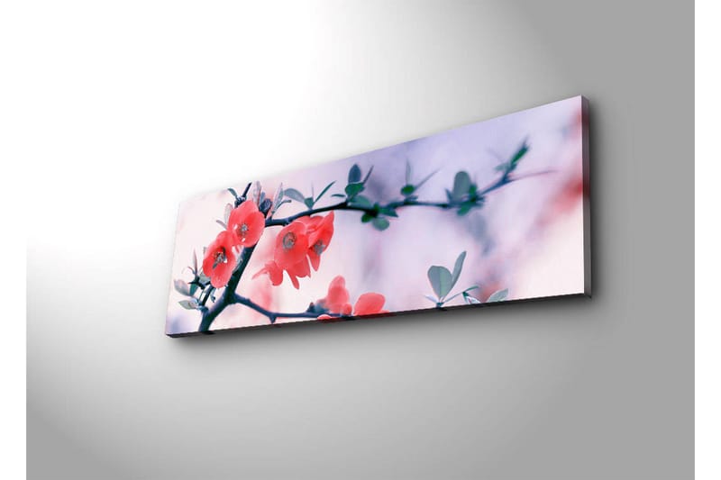 Canvas-taulu LED-valaistuksella 30x90 cm - Kukkiva oksa vaaleanpunaisilla kukilla - Vaaleanpunainen / Vihreä / Valkoinen - Sisustustuotteet - Taulu & taide - Canvas-taulu