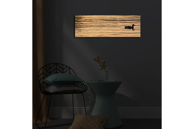 Canvas-taulu LED-valaistuksella 30x90 cm - Musta ankka ui peilimäisillä, kultaisilla vesipinnoilla - Kulta / Musta - Sisustustuotteet - Taulu & taide - Canvas-taulu