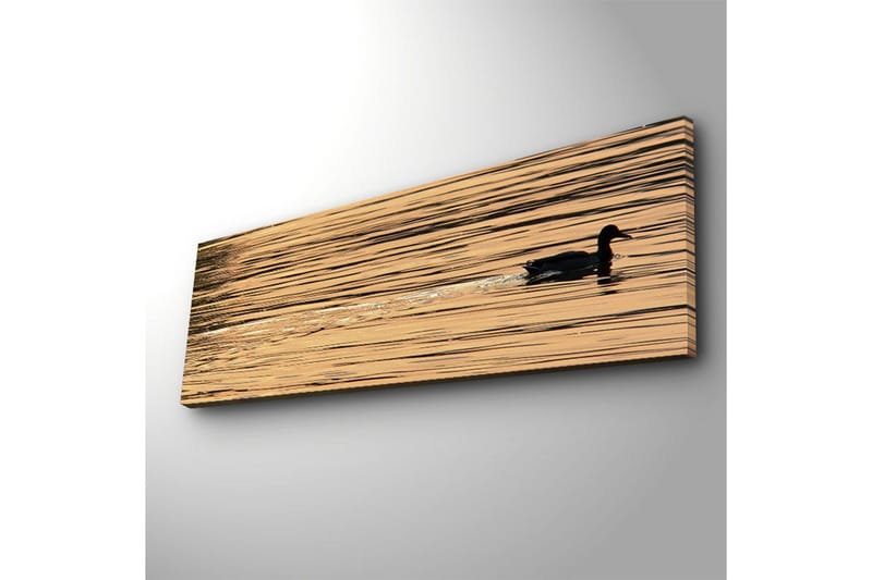 Canvas-taulu LED-valaistuksella 30x90 cm - Musta ankka ui peilimäisillä, kultaisilla vesipinnoilla - Kulta / Musta - Sisustustuotteet - Taulu & taide - Canvas-taulu