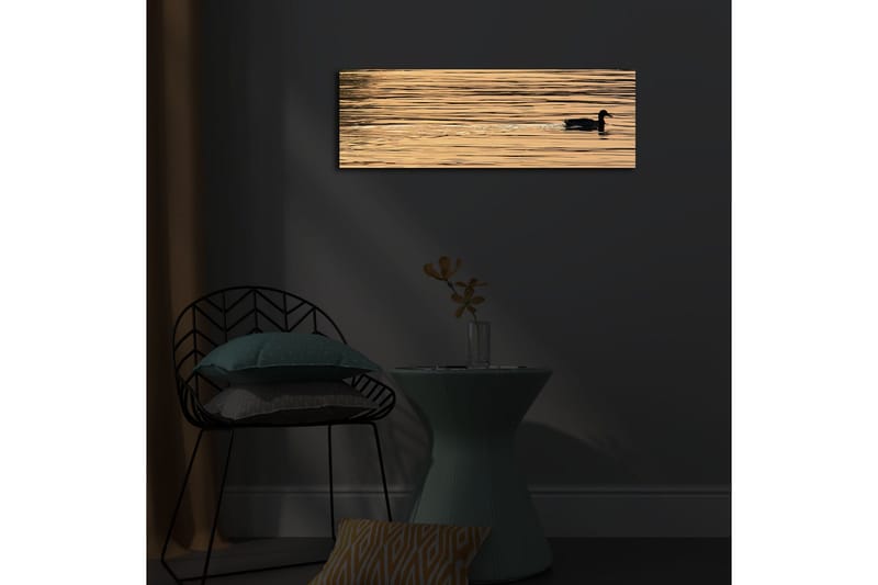 Canvas-taulu LED-valaistuksella 30x90 cm - Musta ankka ui peilimäisillä, kultaisilla vesipinnoilla - Kulta / Musta - Sisustustuotteet - Taulu & taide - Canvas-taulu