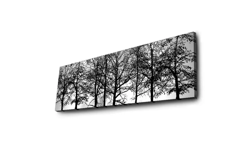 Canvas-taulu LED-valaistuksella 30x90 cm - mustavalkoinen puun siluetti - Musta / Valkoinen - Sisustustuotteet - Taulu & taide - Canvas-taulu