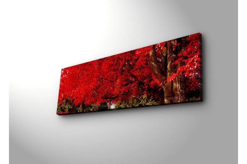 Canvas-taulu LED-valaistuksella 30x90 cm - Rehevä punainen lehtimetsä ja suuri puunrunko - Punainen / Vihreä / Ruskea - Sisustustuotteet - Taulu & taide - Canvas-taulu