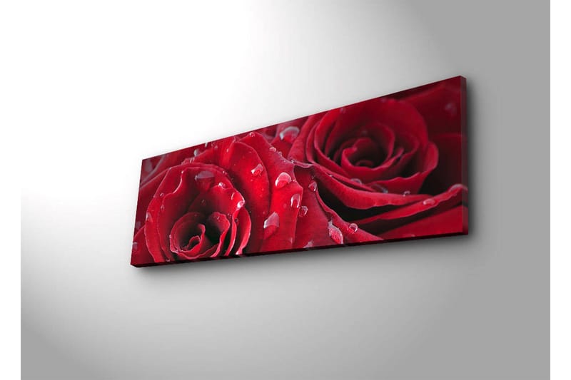 Canvas-taulu LED-valaistuksella 30x90 cm - Syvänpunaiset ruusut vesipisaroilla - Punainen / Vihreä - Sisustustuotteet - Taulu & taide - Canvas-taulu