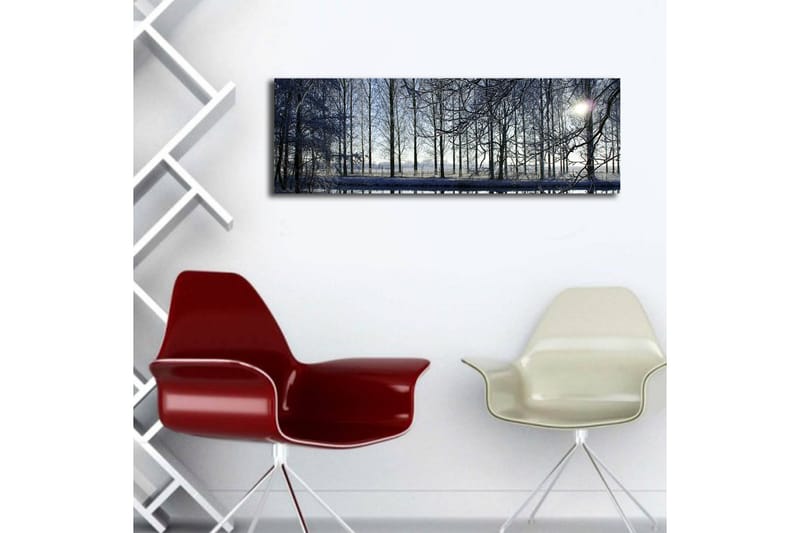 Canvas-taulu LED-valaistuksella 30x90 cm - Talvimaisema lumipeitteisillä puilla ja heikolla auringonvalon säteellä - Sininen / Valkoinen / Harmaa - Sisustustuotteet - Taulu & taide - Canvas-taulu