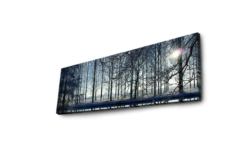 Canvas-taulu LED-valaistuksella 30x90 cm - Talvimaisema lumipeitteisillä puilla ja heikolla auringonvalon säteellä - Sininen / Valkoinen / Harmaa - Sisustustuotteet - Taulu & taide - Canvas-taulu