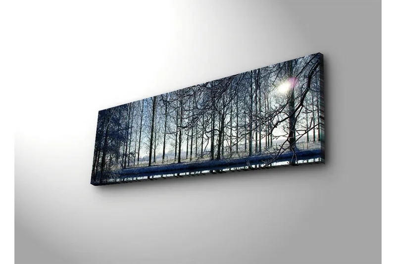 Canvas-taulu LED-valaistuksella 30x90 cm - Talvimaisema lumipeitteisillä puilla ja heikolla auringonvalon säteellä - Sininen / Valkoinen / Harmaa - Sisustustuotteet - Taulu & taide - Canvas-taulu
