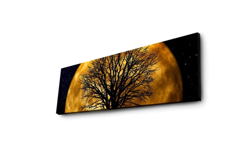 Canvas-taulu LED-valaistuksella 30x90 cm - Tunnelmallinen aihe kuusta puun siluetin takana - Kulta / Musta - Sisustustuotteet - Taulu & taide - Canvas-taulu