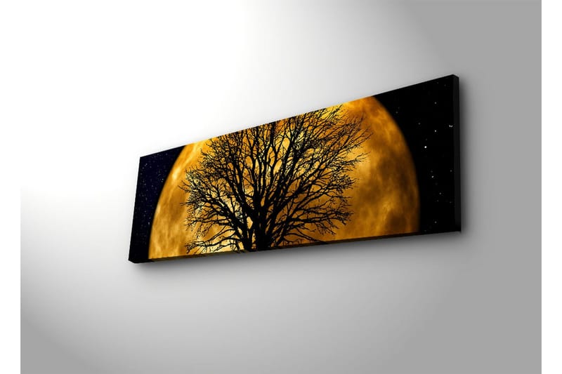 Canvas-taulu LED-valaistuksella 30x90 cm - Tunnelmallinen aihe kuusta puun siluetin takana - Kulta / Musta - Sisustustuotteet - Taulu & taide - Canvas-taulu