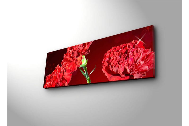 Canvas-taulu LED-valaistuksella 30x90 cm - Värikäs neilikkakimppu - Punainen / Vihreä - Sisustustuotteet - Taulu & taide - Canvas-taulu