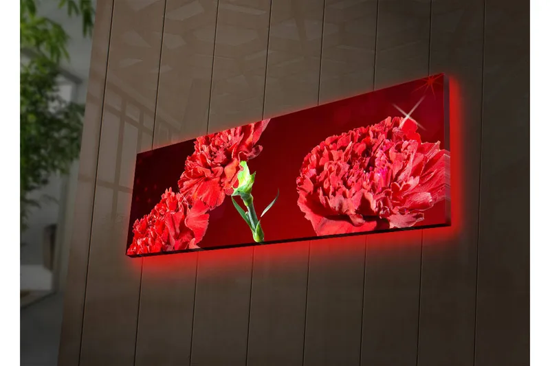 Canvas-taulu LED-valaistuksella 30x90 cm - Värikäs neilikkakimppu, Punainen / Vihreä