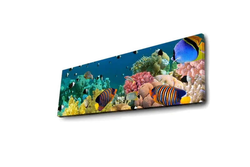 Canvas-taulu LED-valaistuksella 30x90 cm - Värikäs vedenalainen maisema trooppisilla kaloilla ja koralleilla - Sininen / Keltainen / Vaaleanpunainen - Sisustustuotteet - Taulu & taide - Canvas-taulu
