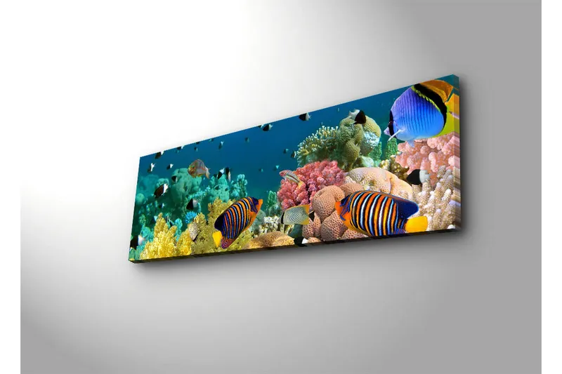 Canvas-taulu LED-valaistuksella 30x90 cm - Värikäs vedenalainen maisema trooppisilla kaloilla ja koralleilla - Sininen / Keltainen / Vaaleanpunainen - Sisustustuotteet - Taulu & taide - Canvas-taulu