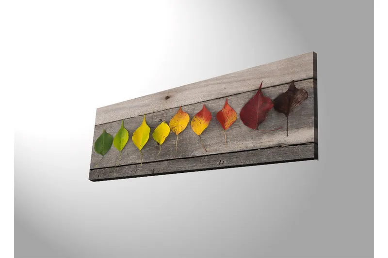 Canvas-taulu LED-valaistuksella 30x90 cm - Värikkäitä lehtiä rivissä puulevyllä - Vihreä / Keltainen / Punainen - Sisustustuotteet - Taulu & taide - Canvas-taulu