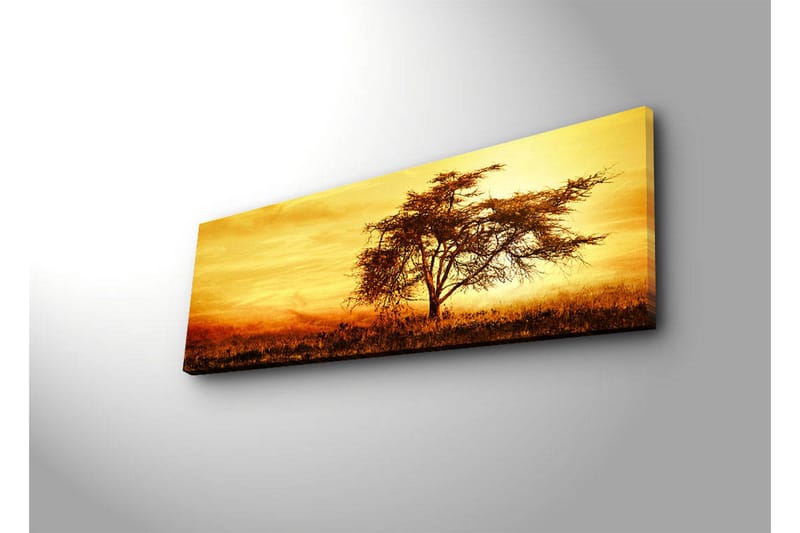 Canvas-taulu LED-valaistuksella 30x90 cm - Yksinäinen akaasiapuu kultaista auringonlaskua vasten - Kulta / Ruskea / Oranssi - Sisustustuotteet - Taulu & taide - Canvas-taulu