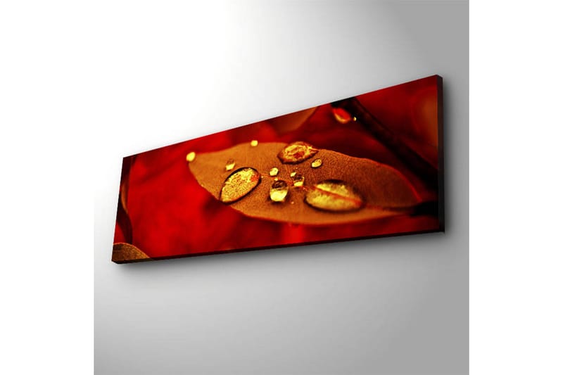 Canvas-taulu LED-valaistuksella 30x90 cm - Punainen lehti kimaltelevilla vesipisaroilla - Punainen / Kulta / Ruskea - Sisustustuotteet - Taulu & taide - Canvas-taulu