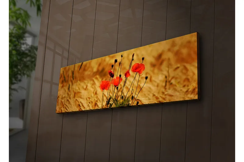 Canvas-taulu LED-valaistuksella 30x90 cm - Punaisia unikkoja kultaisissa pelloissa, Punainen / Kultainen ruskea
