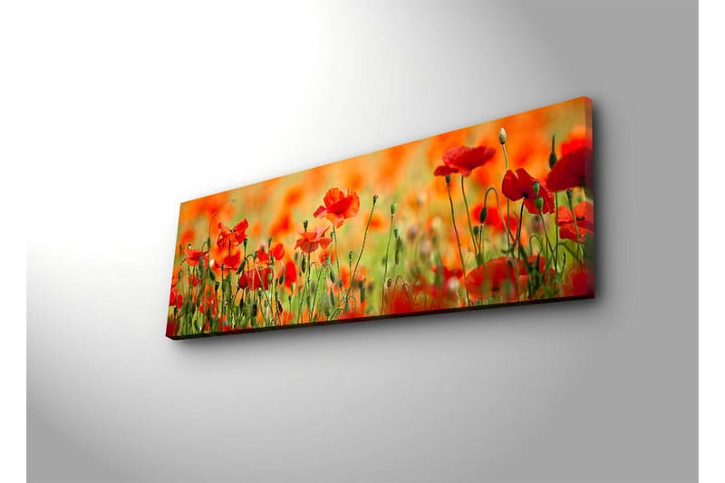 Canvas-taulu LED-valaistuksella 30x90 cm - Punainen unikkopelto rehevässä vihreässä ympäristössä - Punainen / Vihreä / Oranssi - Sisustustuotteet - Taulu & taide - Canvas-taulu