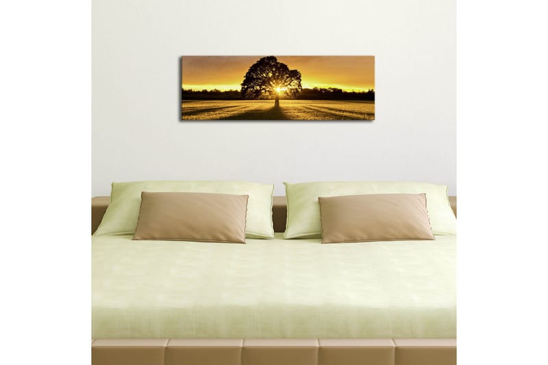 Canvas-taulu LED-valaistuksella 30x90 cm - Puun siluetti kultaista auringonlaskua vasten - Kulta / Musta / Vihreä - Sisustustuotteet - Taulu & taide - Canvas-taulu