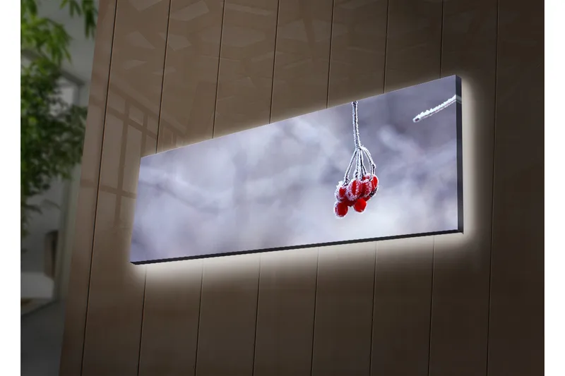 Canvas-taulu LED-valaistuksella 30x90 cm - Pakkasmarjat roikkuvat oksalla, Punainen / Harmaa / Valkoinen