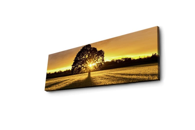 Canvas-taulu LED-valaistuksella 30x90 cm - Puun siluetti kultaista auringonlaskua vasten - Kulta / Musta / Vihreä - Sisustustuotteet - Taulu & taide - Canvas-taulu