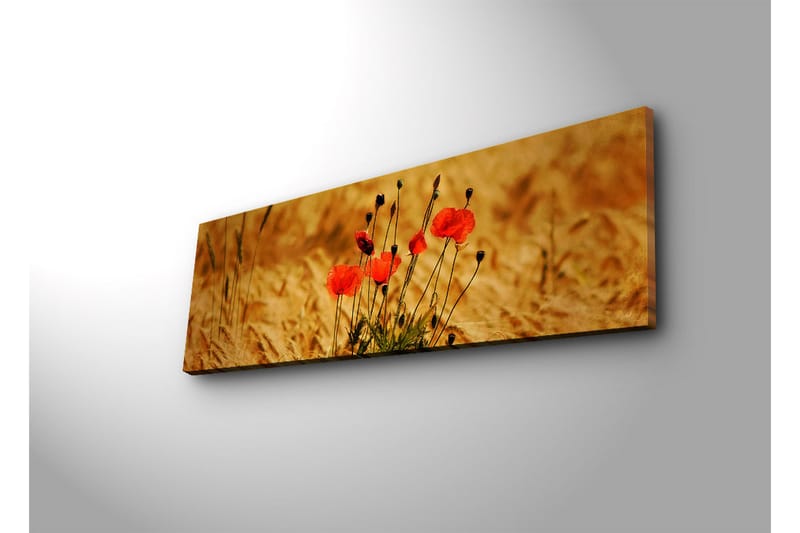 Canvas-taulu LED-valaistuksella 30x90 cm - Punaisia unikkoja kultaisissa pelloissa - Punainen / Kultainen ruskea - Sisustustuotteet - Taulu & taide - Canvas-taulu