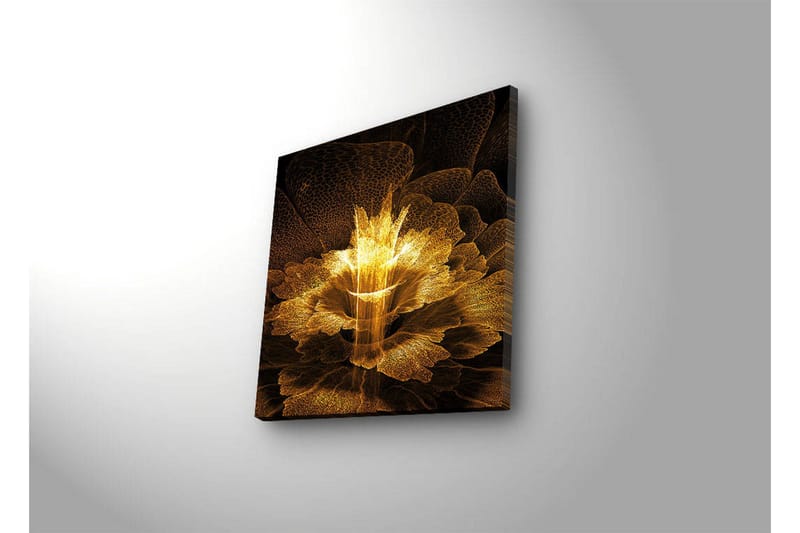 Canvas-taulu LED-valaistuksella 40x40 cm - Abstrakti hohtava kukka - Kulta / Musta / Ruskea - Sisustustuotteet - Taulu & taide - Canvas-taulu
