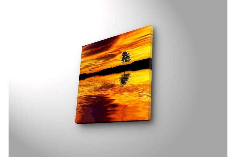 Canvas-taulu LED-valaistuksella 40x40 cm - Auringonlasku peilimäisen järven yllä ja yksinäisen puun siluetti - Kulta / Oranssi / Musta - Sisustustuotteet - Taulu & taide - Canvas-taulu