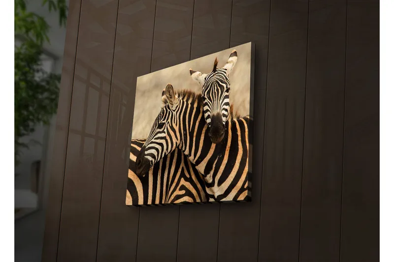 Canvas-taulu LED-valaistuksella 40x40 cm - Kaksi seepraa lähellä toisiaan, Musta / Beige / Valkoinen