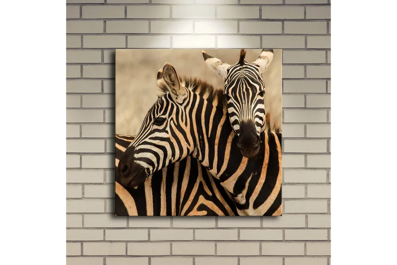 Canvas-taulu LED-valaistuksella 40x40 cm - Kaksi seepraa lähellä toisiaan - Musta / Beige / Valkoinen - Sisustustuotteet - Taulu & taide - Canvas-taulu