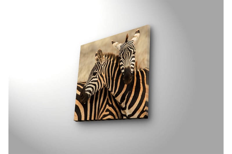 Canvas-taulu LED-valaistuksella 40x40 cm - Kaksi seepraa lähellä toisiaan - Musta / Beige / Valkoinen - Sisustustuotteet - Taulu & taide - Canvas-taulu