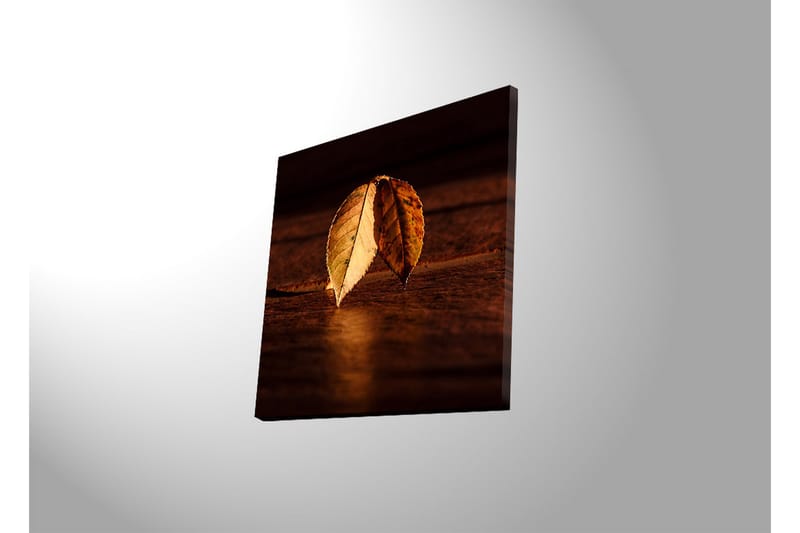 Canvas-taulu LED-valaistuksella 40x40 cm - Kaksi päällekkäistä syksynlehteä puupinnalla - Kulta / Ruskea / Vihreä - Sisustustuotteet - Taulu & taide - Canvas-taulu