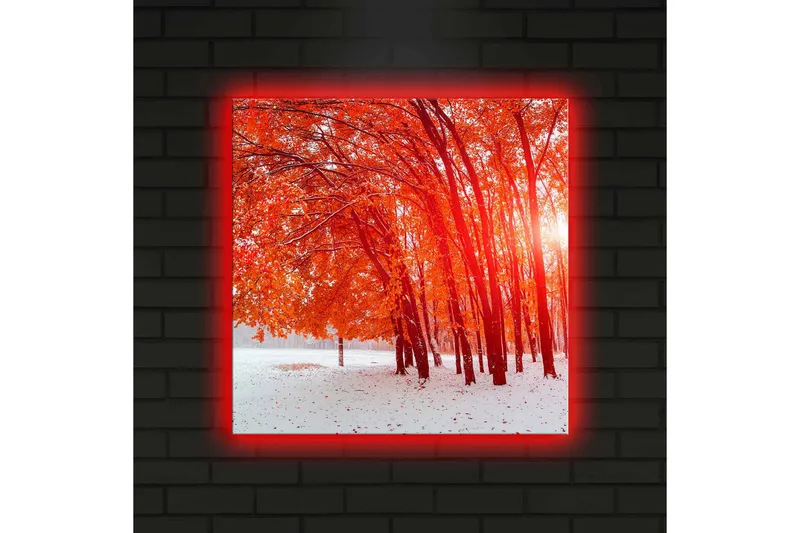 Canvas-taulu LED-valaistuksella 40x40 cm - Kaunis metsä hohtavilla syksynlehdillä - Punainen / Valkoinen - Sisustustuotteet - Taulu & taide - Canvas-taulu