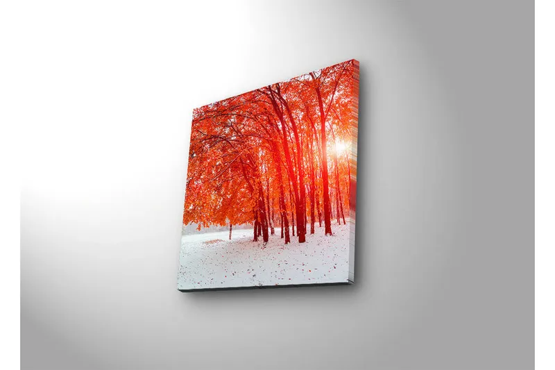 Canvas-taulu LED-valaistuksella 40x40 cm - Kaunis metsä hohtavilla syksynlehdillä - Punainen / Valkoinen - Sisustustuotteet - Taulu & taide - Canvas-taulu