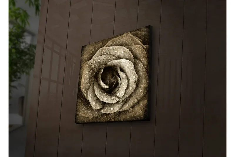 Canvas-taulu LED-valaistuksella 40x40 cm - Kaunis ruusu vesipisaroilla - Beige / Ruskea / Harmaa - Sisustustuotteet - Taulu & taide - Canvas-taulu