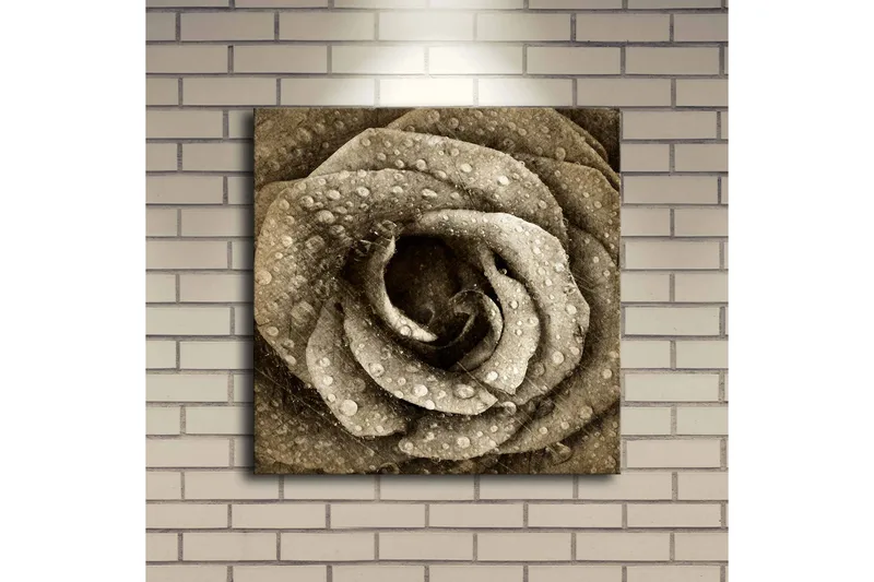 Canvas-taulu LED-valaistuksella 40x40 cm - Kaunis ruusu vesipisaroilla - Beige / Ruskea / Harmaa - Sisustustuotteet - Taulu & taide - Canvas-taulu