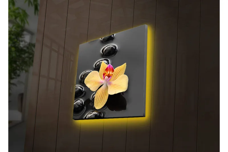 Canvas-taulu LED-valaistuksella 40x40 cm - Keltainen orkidea mustilla kivillä, Keltainen / Musta