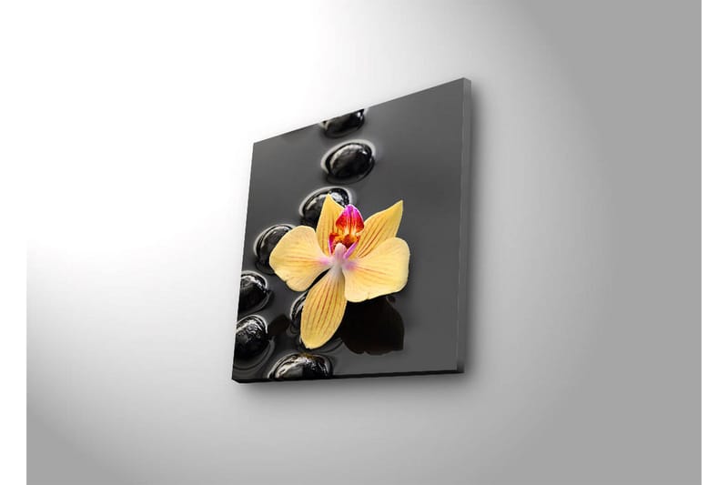 Canvas-taulu LED-valaistuksella 40x40 cm - Keltainen orkidea mustilla kivillä - Keltainen / Musta - Sisustustuotteet - Taulu & taide - Canvas-taulu