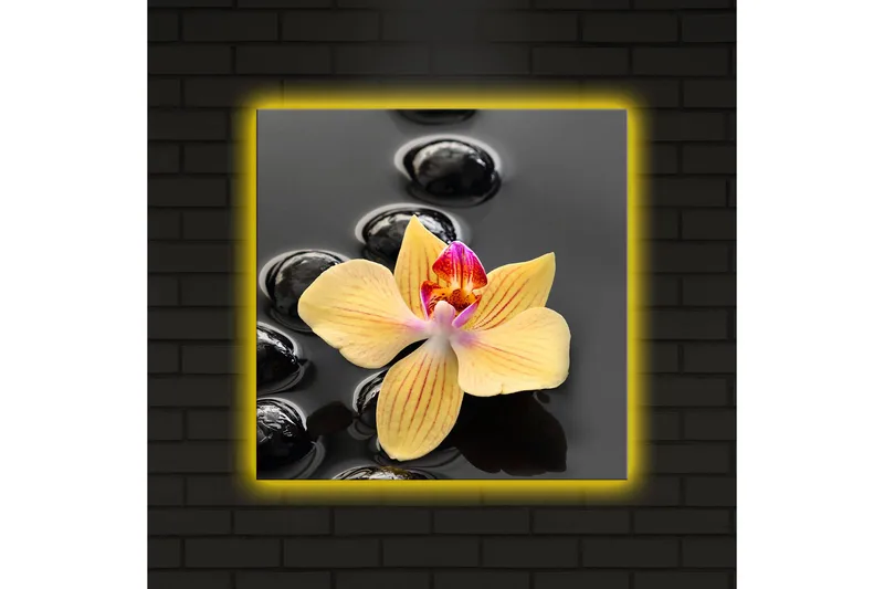 Canvas-taulu LED-valaistuksella 40x40 cm - Keltainen orkidea mustilla kivillä - Keltainen / Musta - Sisustustuotteet - Taulu & taide - Canvas-taulu