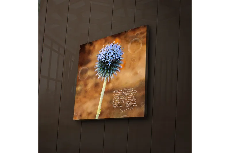 Canvas-taulu LED-valaistuksella 40x40 cm - Kukka sinisillä terälehdillä lämpimällä taustalla - Sininen / Ruskea - Sisustustuotteet - Taulu & taide - Canvas-taulu
